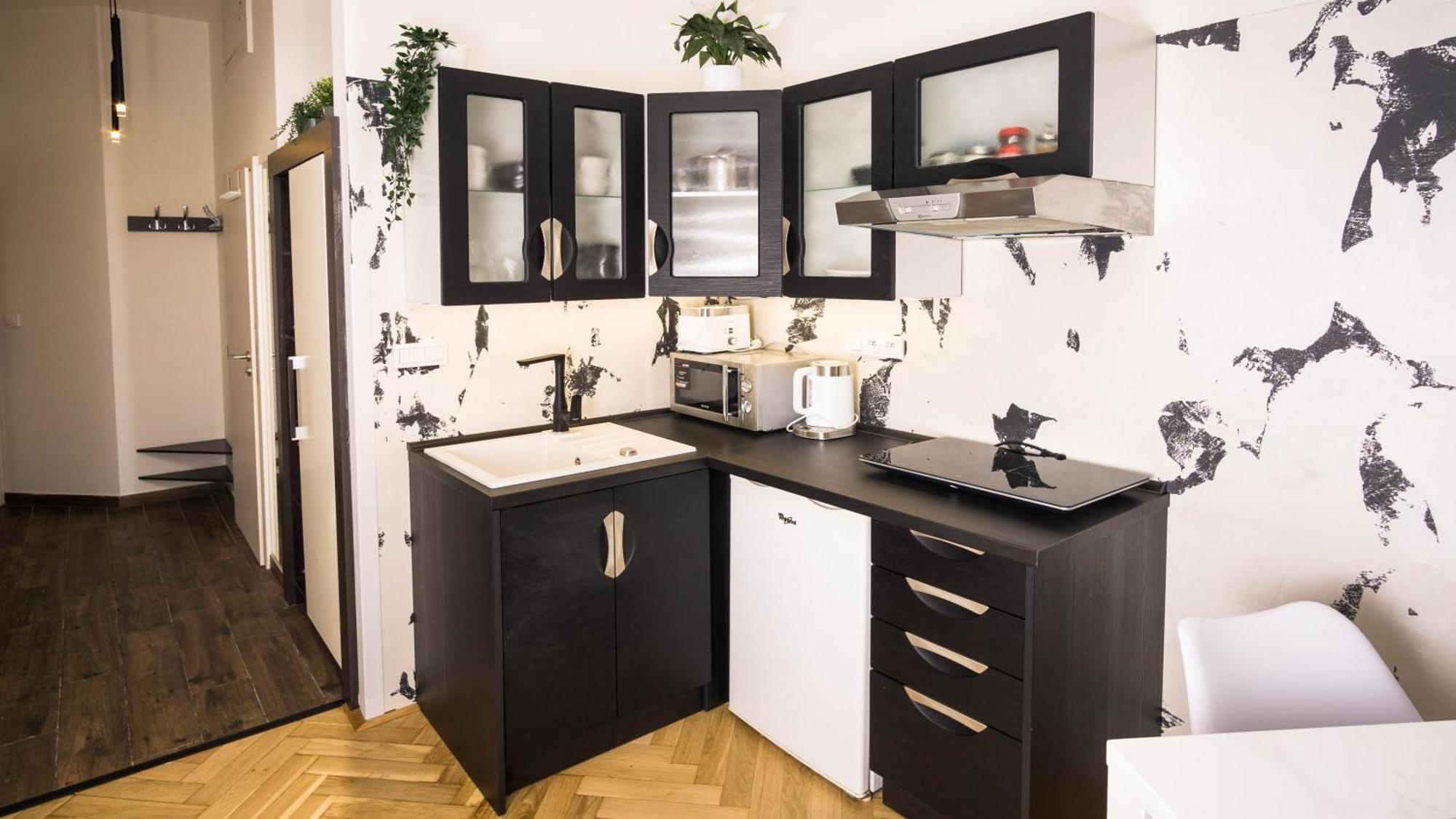 Black & White Apartment Prague By Wenceslas Square And Muzeum Bagian luar foto
